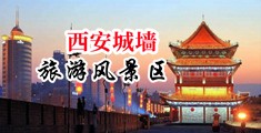 大鸡巴操出水的视频中国陕西-西安城墙旅游风景区